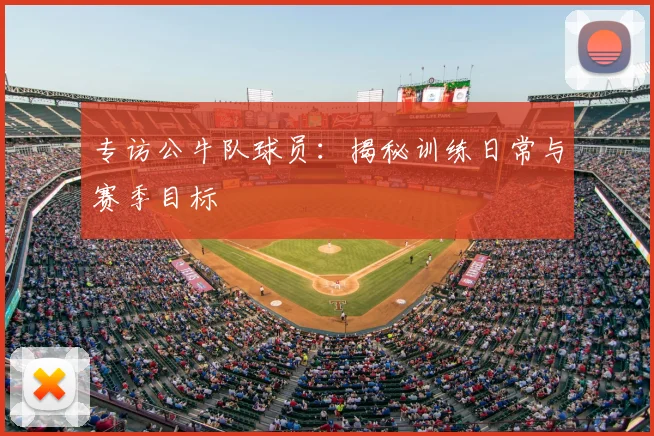 专访公牛队球员：揭秘训练日常与赛季目标