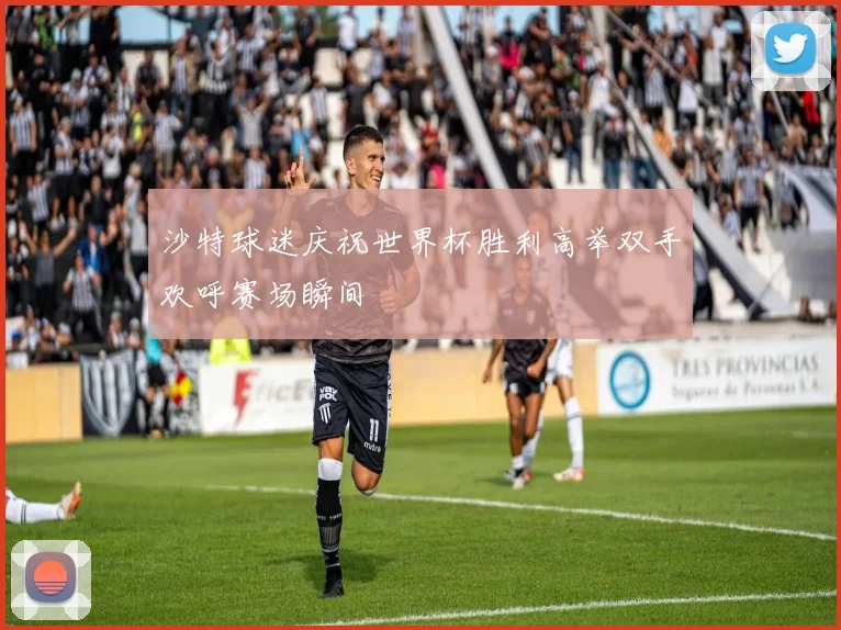 沙特球迷庆祝世界杯胜利高举双手欢呼赛场瞬间