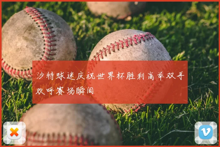 沙特球迷庆祝世界杯胜利高举双手欢呼赛场瞬间