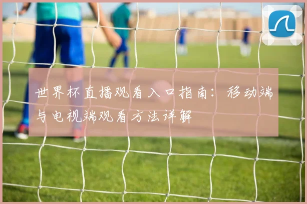 世界杯直播观看入口指南：移动端与电视端观看方法详解