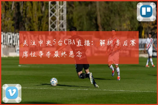 关注中央5台CBA直播：解析季后赛席位争夺最终悬念