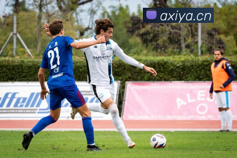 多媒体互动体验